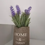 Lovely Maison House 50m From The At Nea アパート フロギタ
