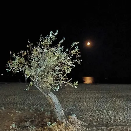 Διαμέρισμα Lovely Maison House 50m From The At Nea